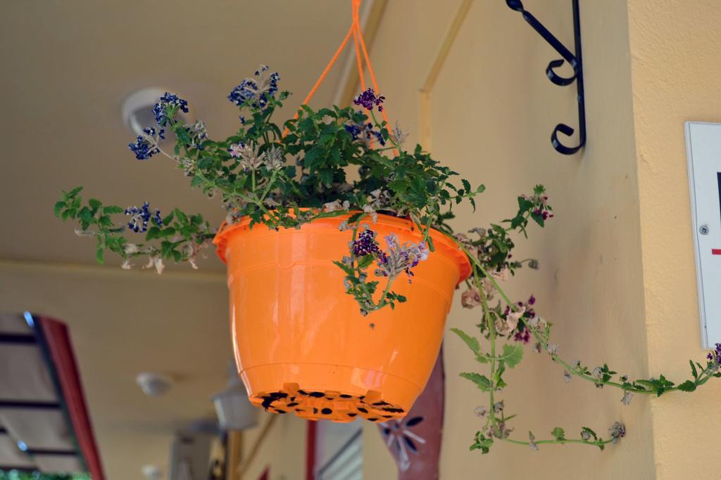 Gradma Katina Apartment Platanias  Luaran gambar
