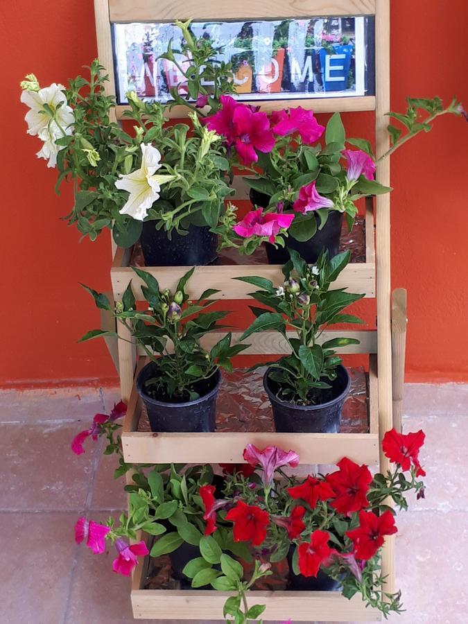 Gradma Katina Apartment Platanias  Luaran gambar